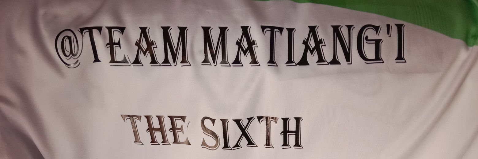 notyboi 🦁🦁's banner