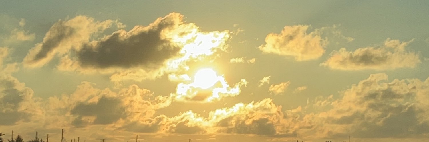 おさかな's banner