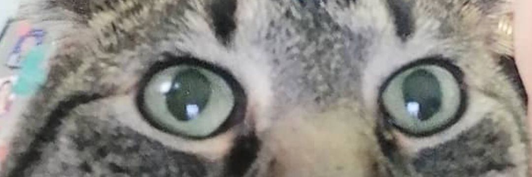 xdanRR's profile banner image