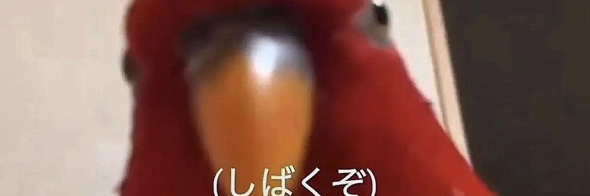 瓜生のメロンパン banner