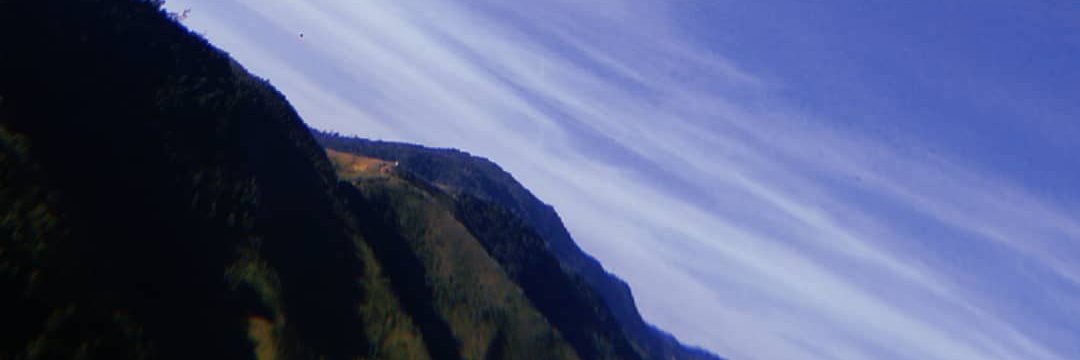 Gustavobtlscc's profile banner image
