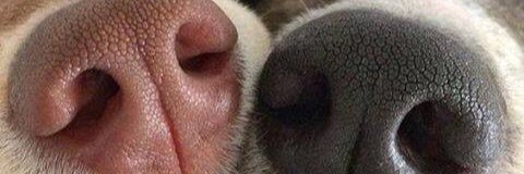 izaurapires's profile banner image