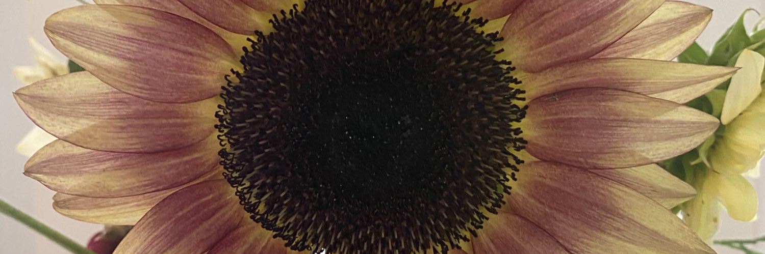 DocCMac's profile banner image