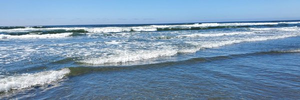 PeopleDied2Vote Profile Banner