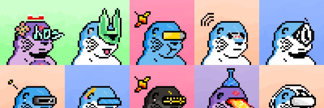 Botter Arc 🦦 banner
