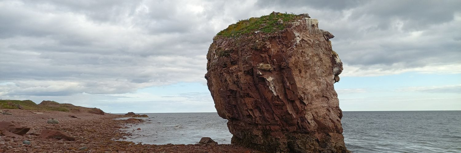 Freddy Zimmer banner