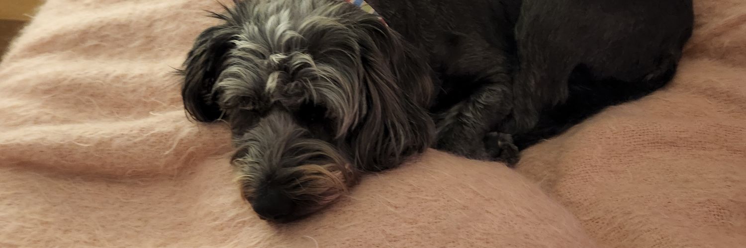 Professor West Wing Fried Chicken Shack banner