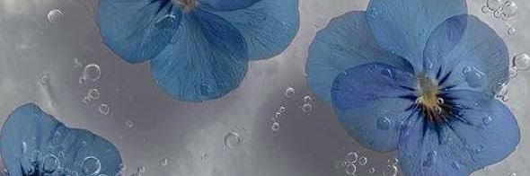 CeAiraMist_'s profile banner image