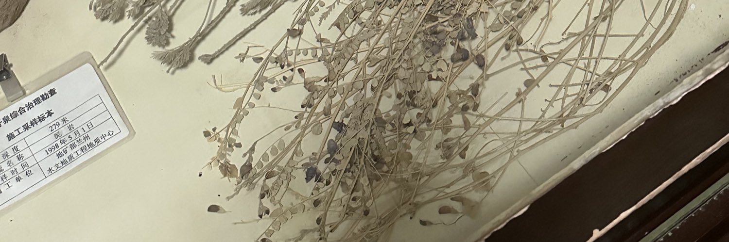 ༺(lala)｡˚ ⋆ banner