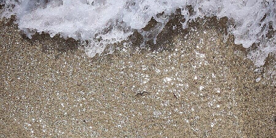 Reggie Carroll banner