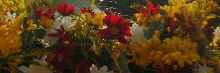 FerrazLaninha's profile banner image