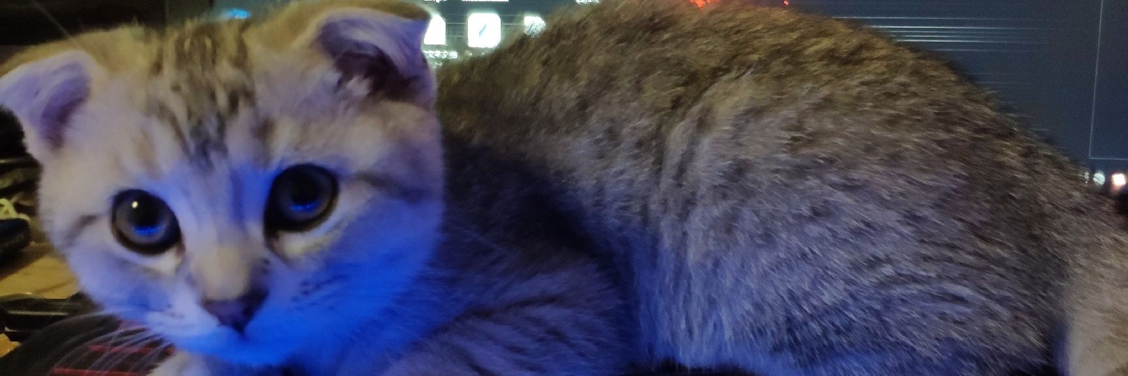 EthanJie_Sys's profile banner image