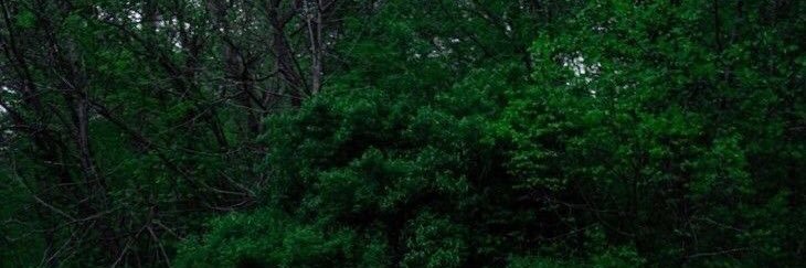 Fredrick Muller banner