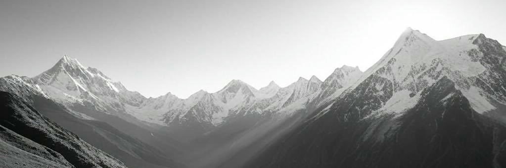 Uniate Animal banner