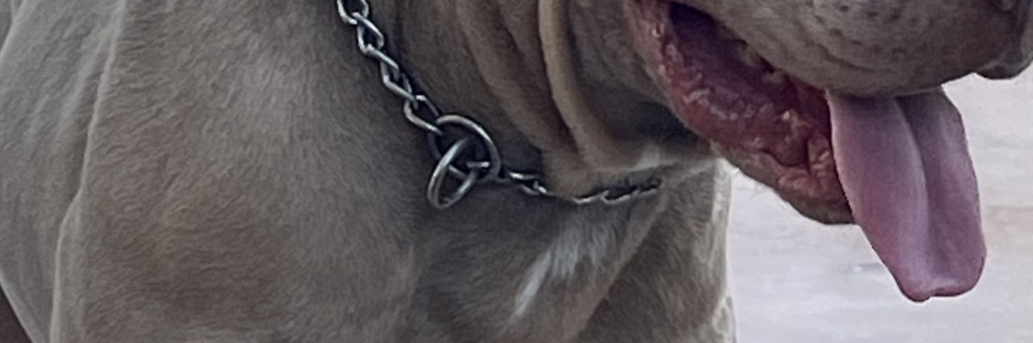 el_cunaopp's profile banner image