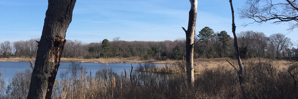 OldTwit61's profile banner image