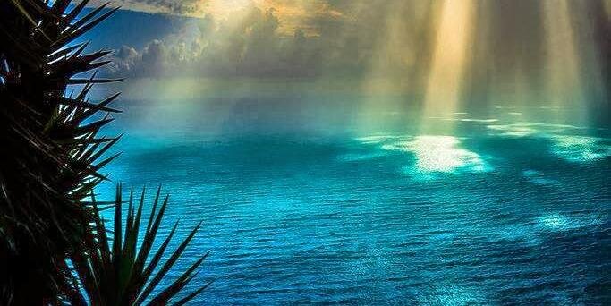 Cesar Hernandez 🇺🇸 banner