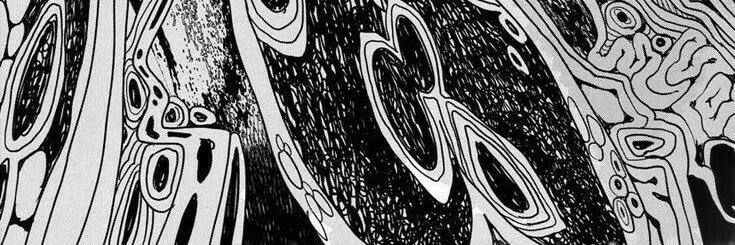 Katherynne𖦹°. ᵎᵎ banner