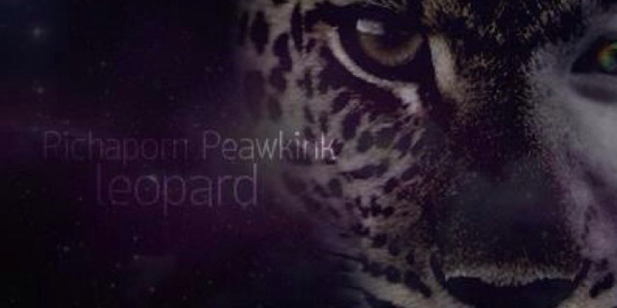 PinkployLeopard's profile banner image
