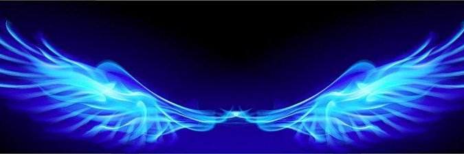 nexus banner