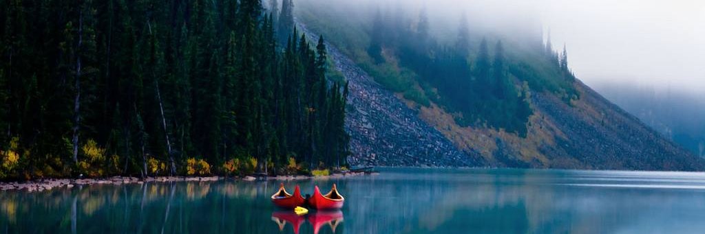 ⚓⛵🐚🌊⛱🏒🇨🇦Beleafer banner