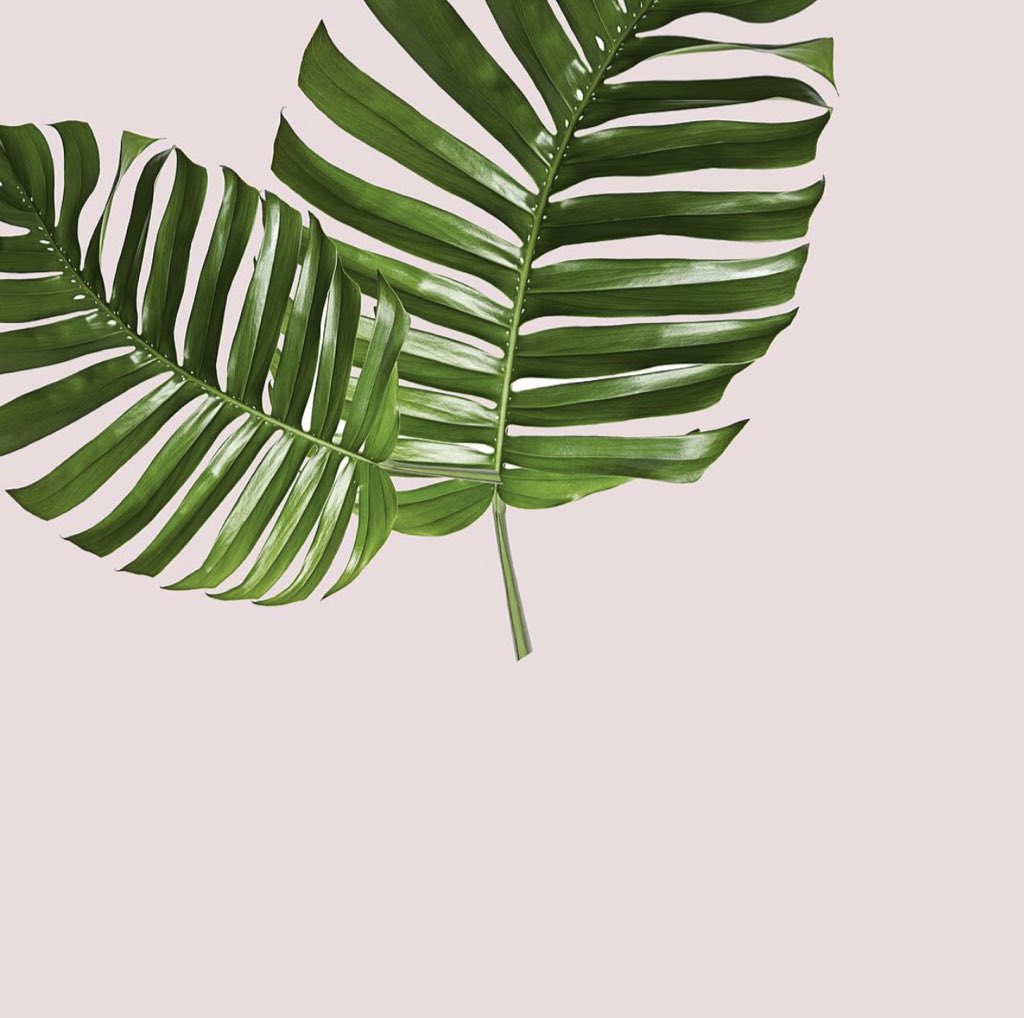 mnn806's profile banner image