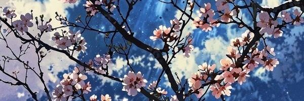 anya's banner