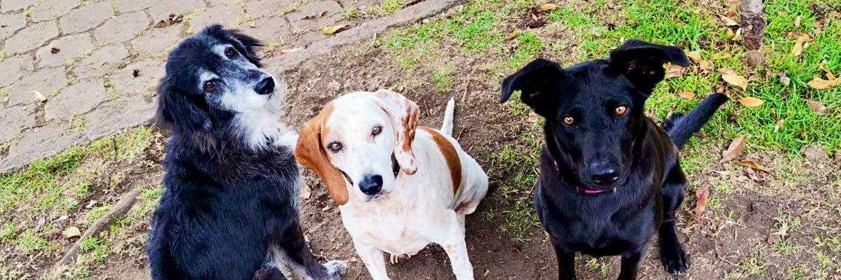 Katherine Agreda banner