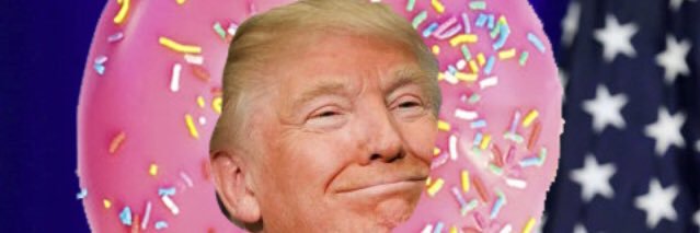 🇺🇸🍩 JULIE DONUTS 🍩🇺🇸 banner