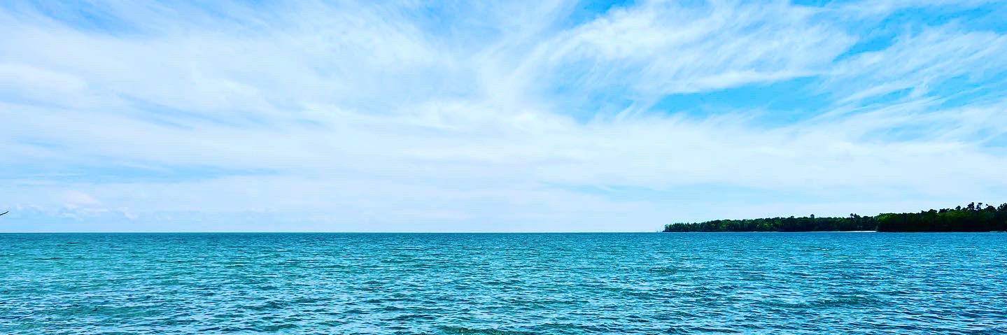 Ra©hel B. MLIS🌻☕️📚🎗 banner