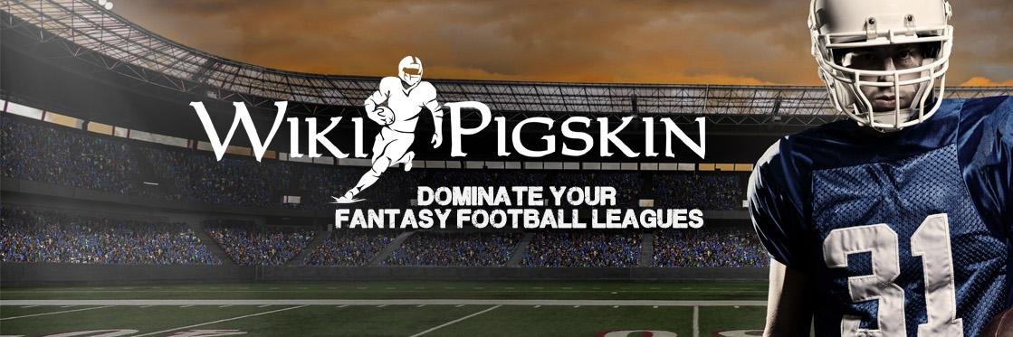 Wikipigskin's profile banner image