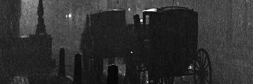 YoonTheWolf's profile banner image