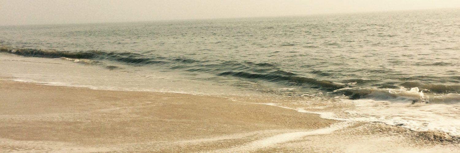 rolypoly1234's profile banner image