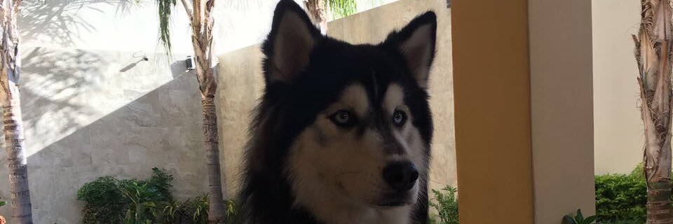 luis_rr99's profile banner image