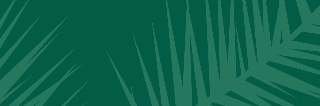 ana_tecila's profile banner image