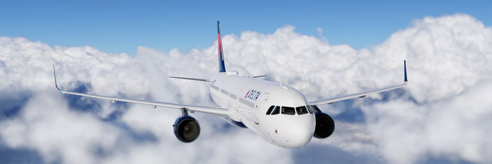 Wide Body Captain banner