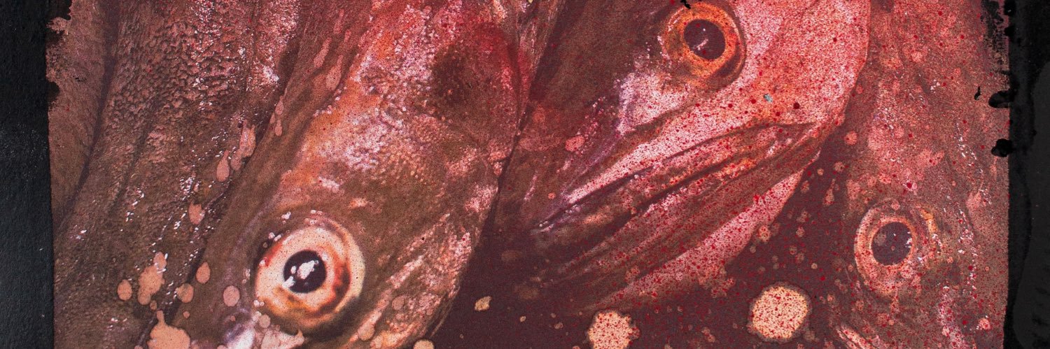 Lorcanamedian7 banner