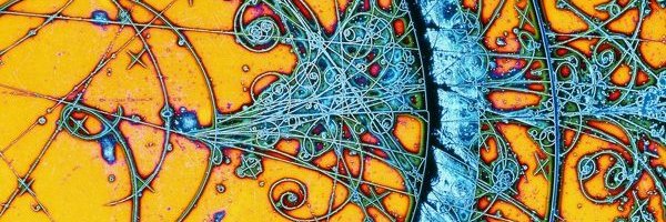 huntthesnark Profile Banner