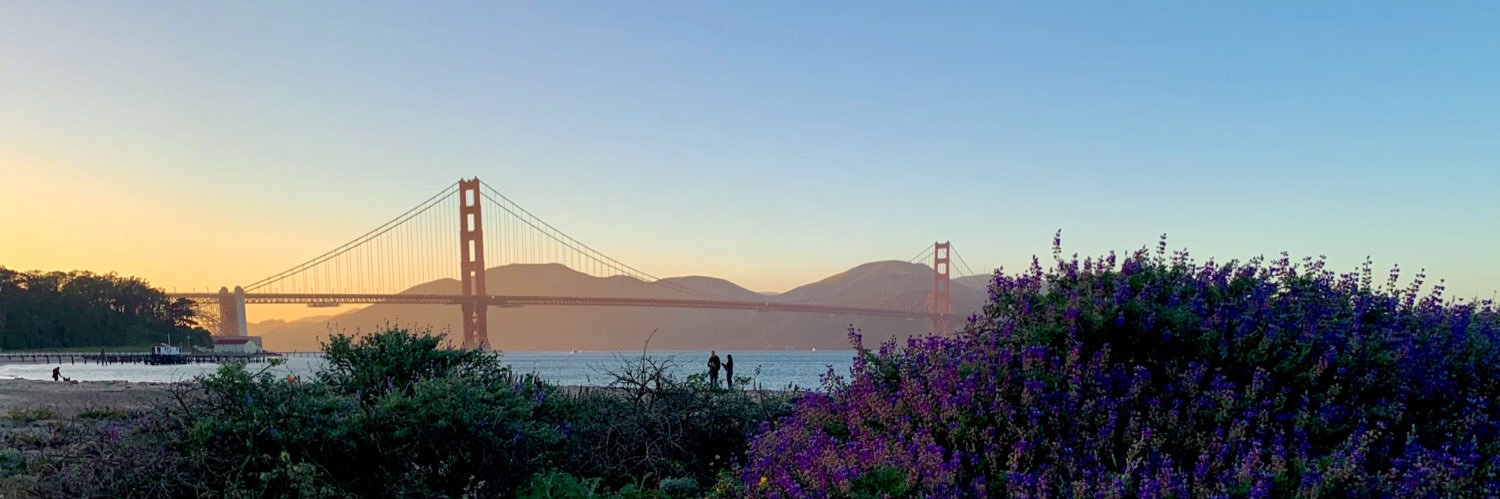 lizzyrose77's profile banner image
