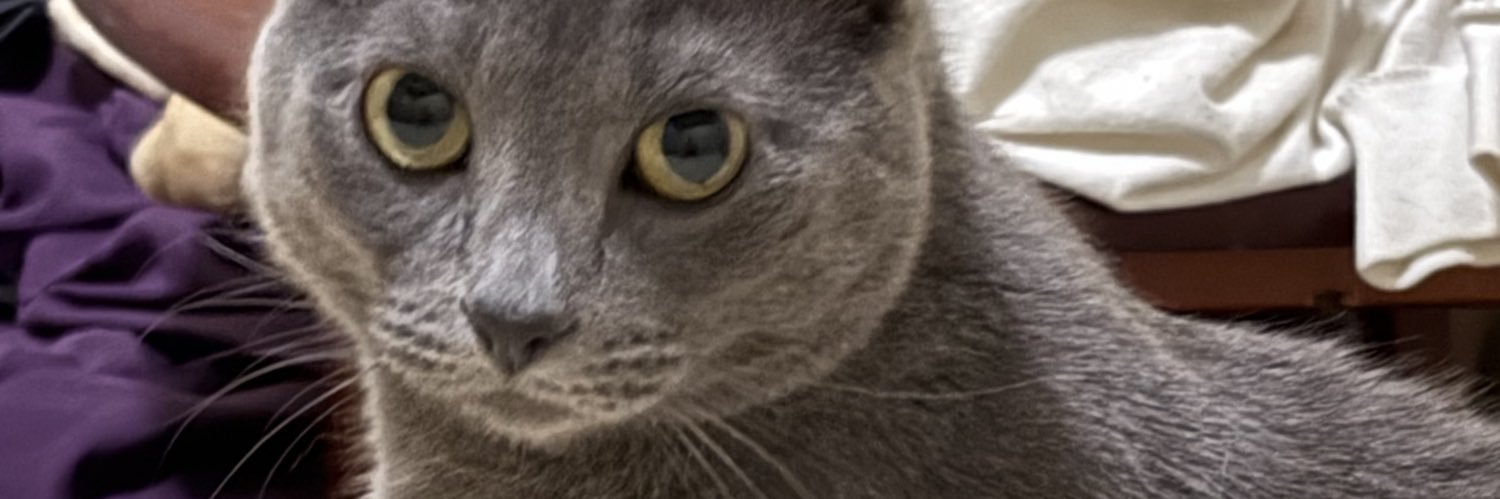 Michael Thornton banner