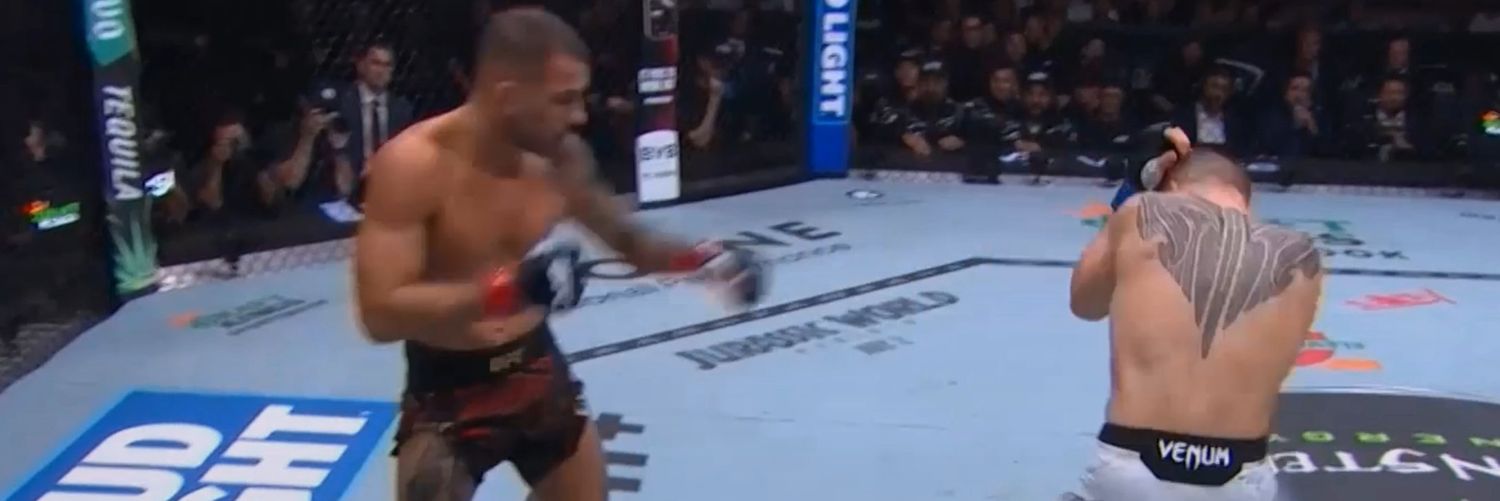 Voadora do Werdum banner