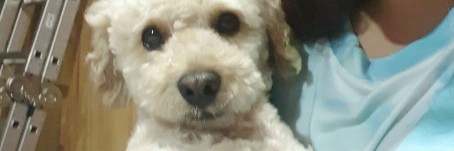 paaaty19's profile banner image
