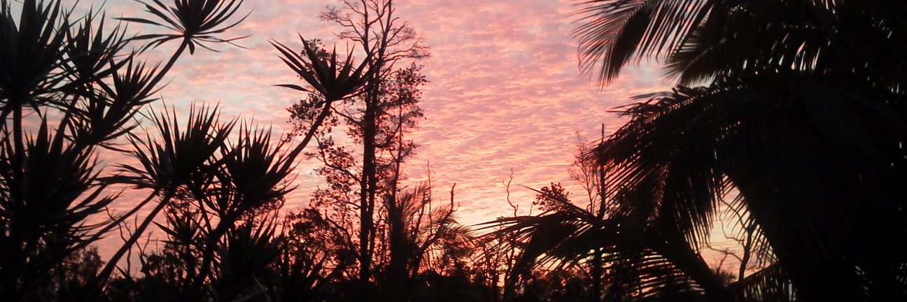 Jan Patenaude RD CLT banner