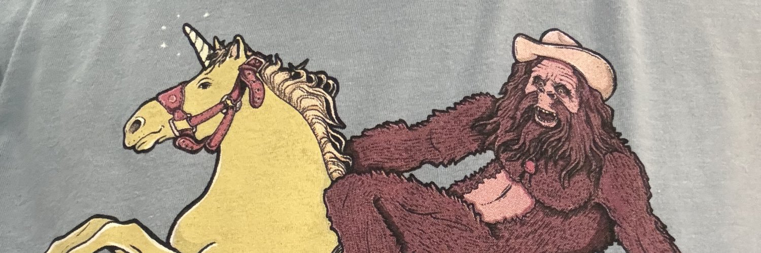 Bolti Boi banner