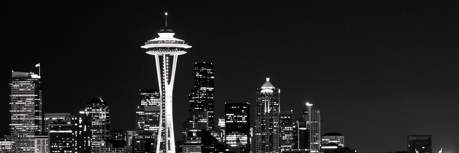 ChelseaLooney's profile banner image