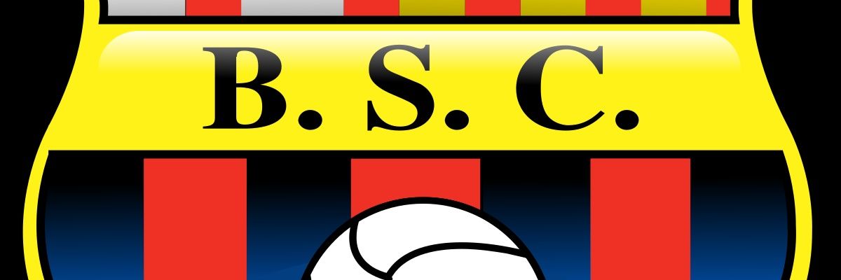 luisspst16's profile banner image