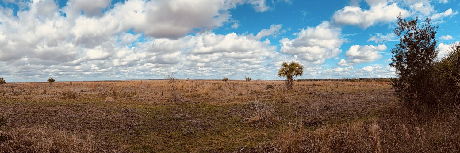 *elderly millennial too tired to learn new social* banner