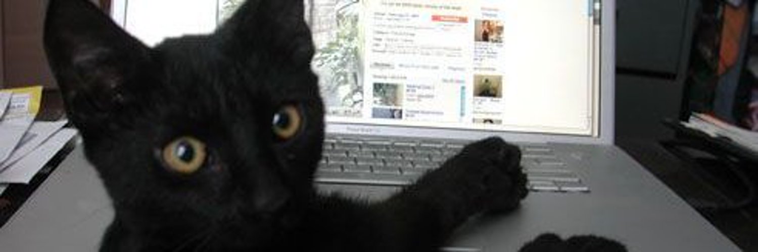 tiniestbats's profile banner image