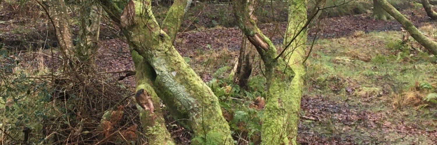 Magnus McKie 💙 🏴󠁧󠁢󠁳󠁣󠁴󠁿🇺🇦 banner