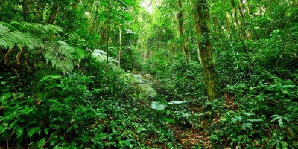 Trinity Jacobson banner